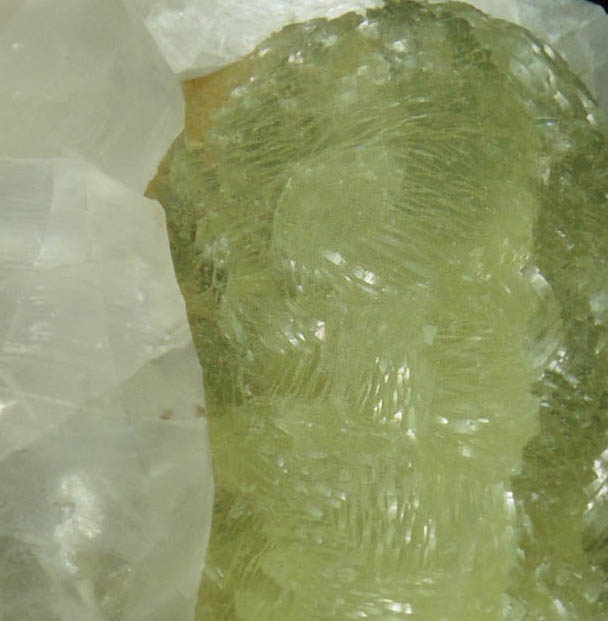 Prehnite pseudomorph after Anhydrite with Calcite (rare) from Prospect Park Quarry, Prospect Park, Passaic County, New Jersey