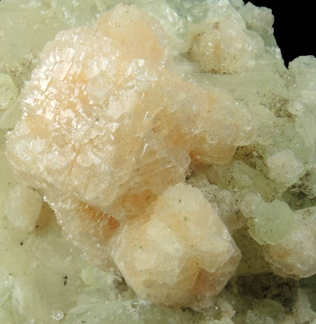 Gmelinite on Datolite from Francisco Brothers Quarry, Great Notch, Passaic County, New Jersey