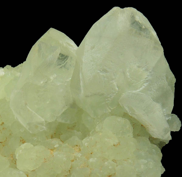 Datolite on Prehnite from Francisco Brothers Quarry, Great Notch, Passaic County, New Jersey