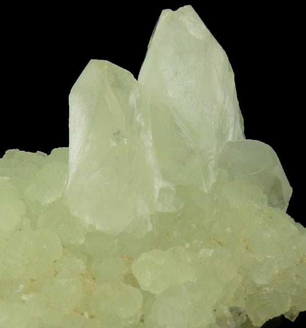 Datolite on Prehnite from Francisco Brothers Quarry, Great Notch, Passaic County, New Jersey