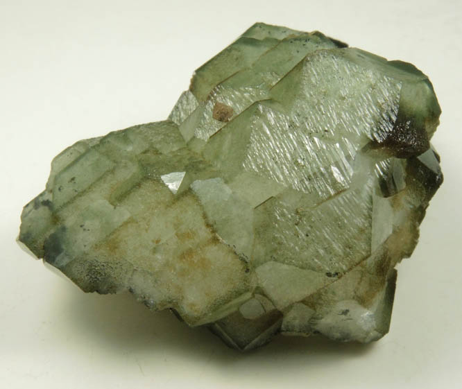 Apophyllite included with Chlorite from Millington Quarry, Bernards Township, Somerset County, New Jersey