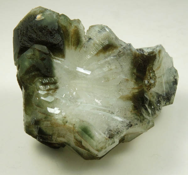 Apophyllite included with Chlorite from Millington Quarry, Bernards Township, Somerset County, New Jersey