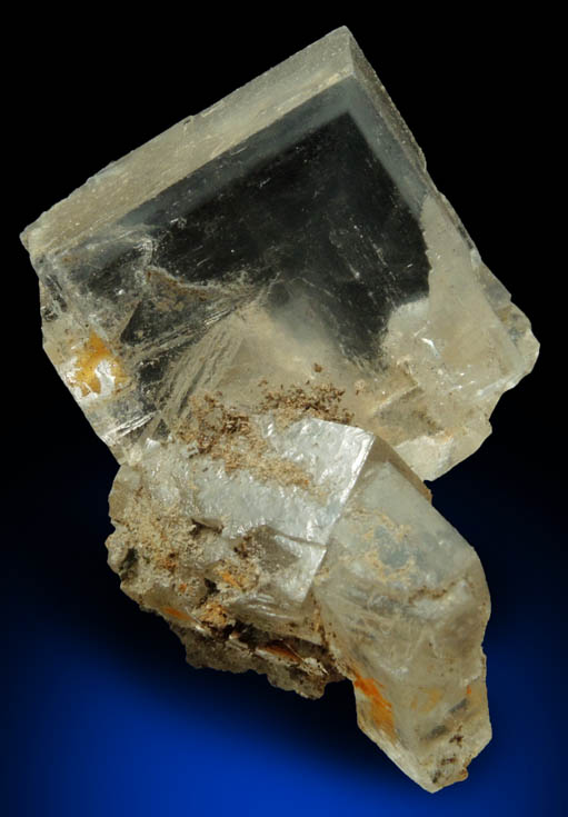 Halite over remnants of wood from mine timber from Wieliczka Mine, Malopolskie, Poland