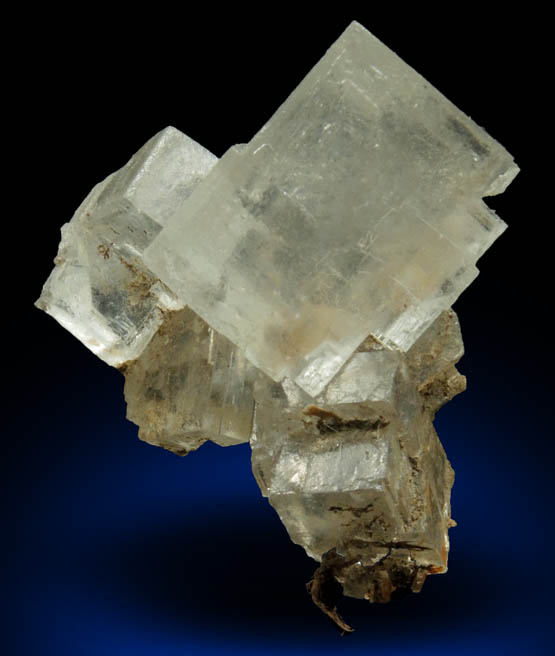 Halite over remnants of wood from mine timber from Wieliczka Mine, Malopolskie, Poland