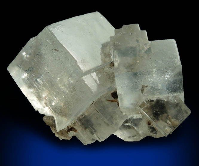 Halite over remnants of wood from mine timber from Wieliczka Mine, Malopolskie, Poland