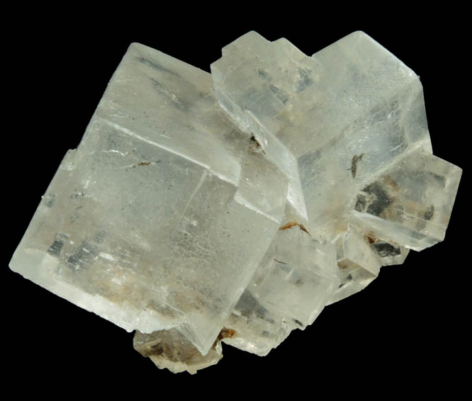 Halite over remnants of wood from mine timber from Wieliczka Mine, Malopolskie, Poland