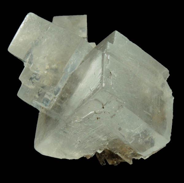 Halite over remnants of wood from mine timber from Wieliczka Mine, Malopolskie, Poland