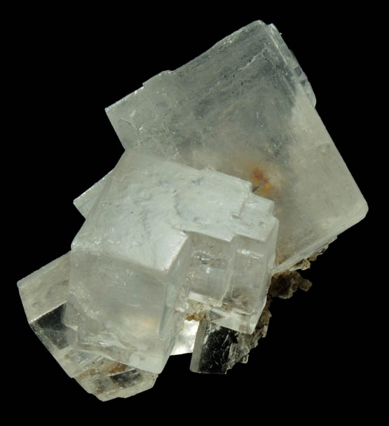 Halite over remnants of wood from mine timber from Wieliczka Mine, Malopolskie, Poland