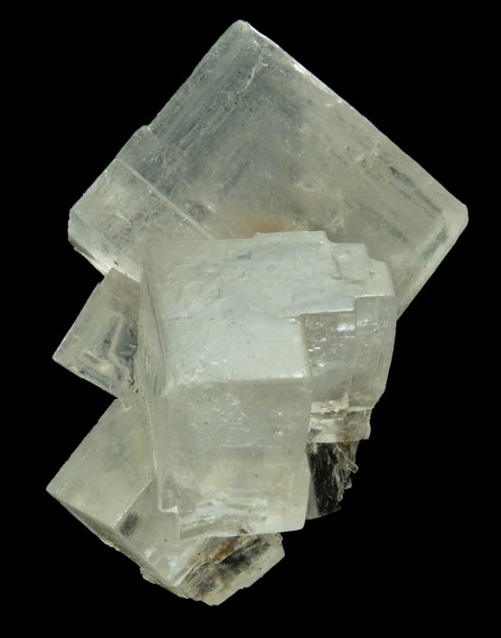 Halite over remnants of wood from mine timber from Wieliczka Mine, Malopolskie, Poland