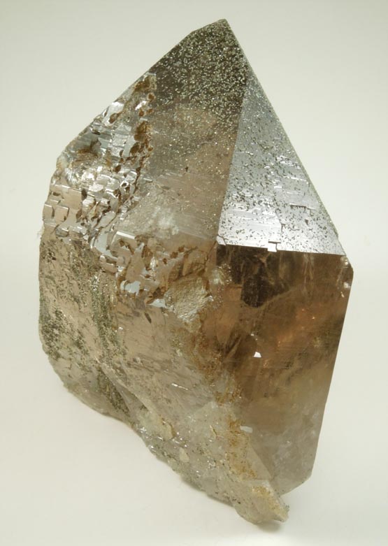 Quartz var. Smoky Quartz with Chlorite from Piz Cavardiras, Grischun (Grisons), Switzerland