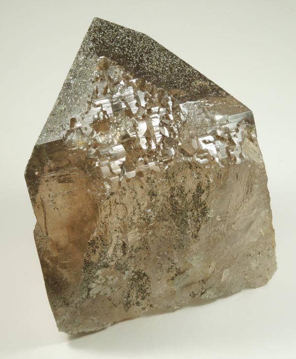 Quartz var. Smoky Quartz with Chlorite from Piz Cavardiras, Grischun (Grisons), Switzerland