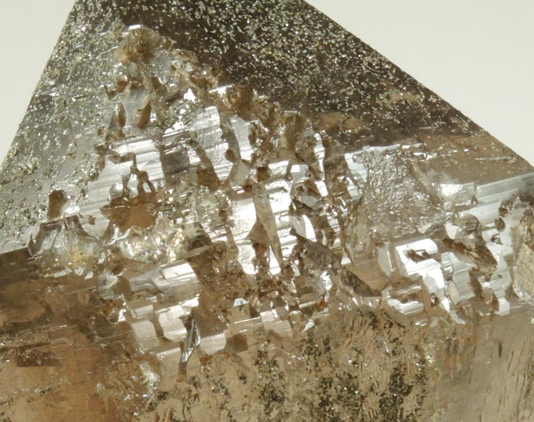 Quartz var. Smoky Quartz with Chlorite from Piz Cavardiras, Grischun (Grisons), Switzerland