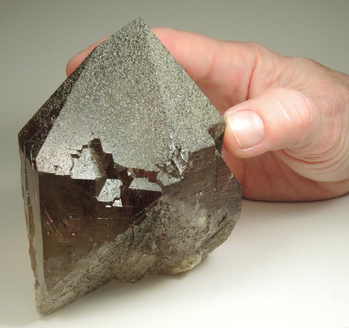 Quartz var. Smoky Quartz with Chlorite from Piz Cavardiras, Grischun (Grisons), Switzerland