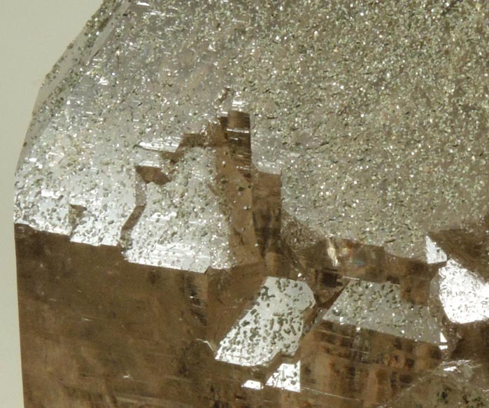 Quartz var. Smoky Quartz with Chlorite from Piz Cavardiras, Grischun (Grisons), Switzerland