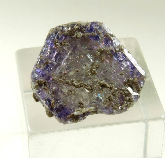 Fluorapatite var. Purple Apatite from Pulsifer Quarry, Mount Apatite, Oxford County, Maine