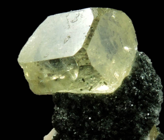 Fluorapatite on Albite with Chlorite coating from Acushnet Quarry, Bristol County, Massachusetts