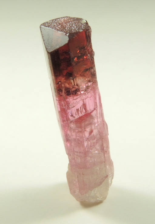 Elbaite var. Rubellite Tourmaline from Santa Rosa, Itambacuri, Minas Gerais, Brazil