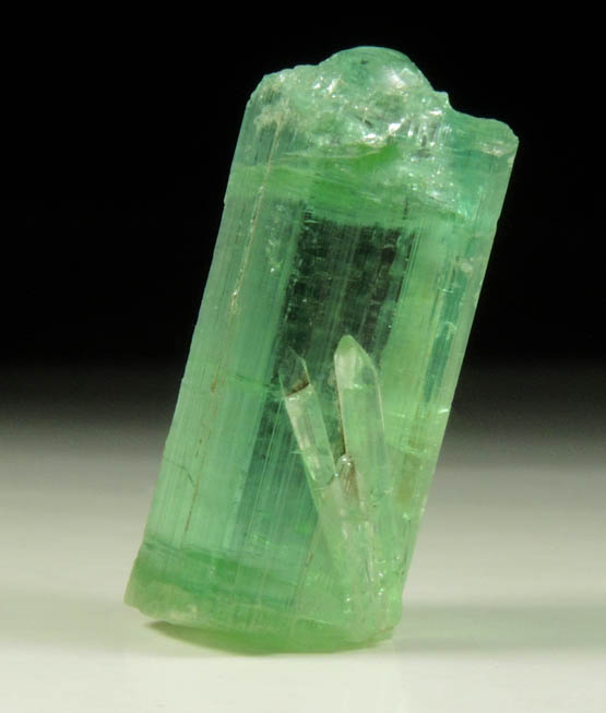 Elbaite Tourmaline from Keith Quarry, Mount Apatite, Auburn, Androscoggin County, Maine