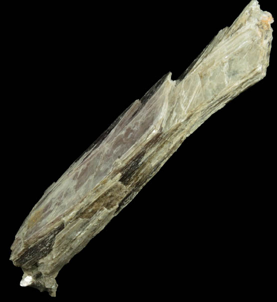 Muscovite Mica (curved crystals) from San Domingo Wash, 14.7 km east of Wickenburg, Maricopa County, Arizona