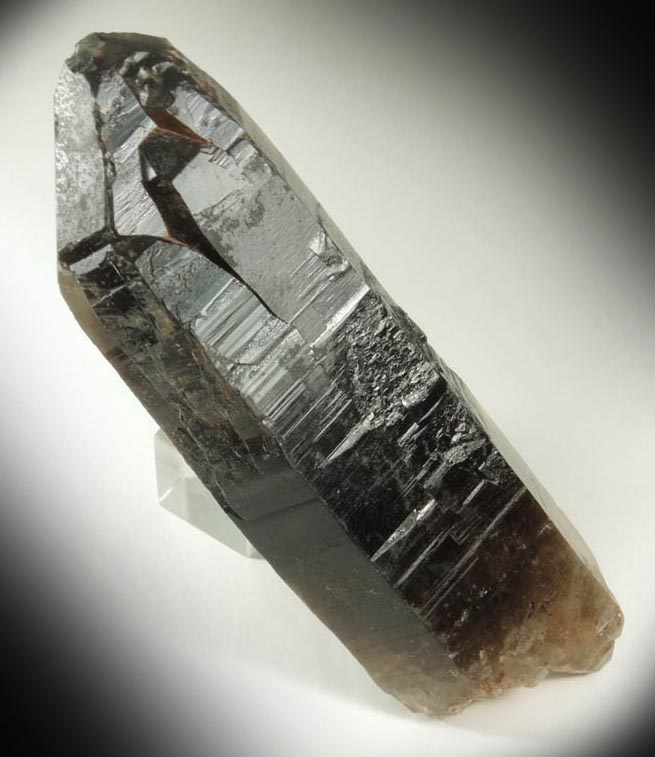 Quartz var. Smoky Quartz (doubly terminated Dauphin Law twins) from Devil's Head, Rampart Range, 25 km southwest of Castle Rock, Douglas County, Colorado