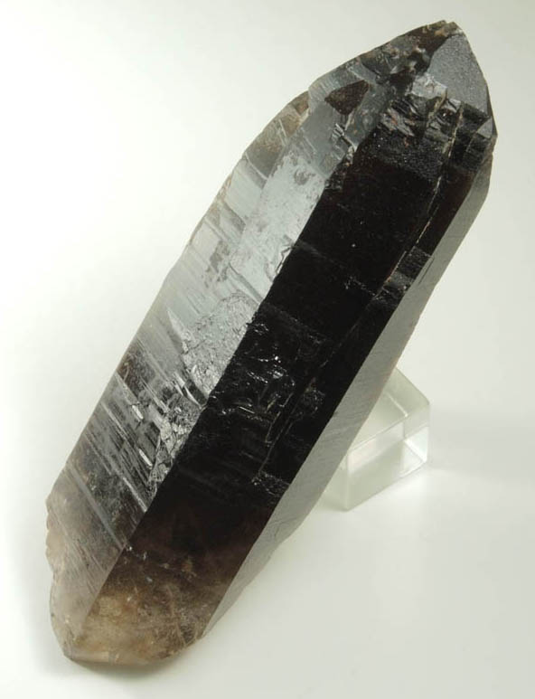 Quartz var. Smoky Quartz (doubly terminated Dauphin Law twins) from Devil's Head, Rampart Range, 25 km southwest of Castle Rock, Douglas County, Colorado