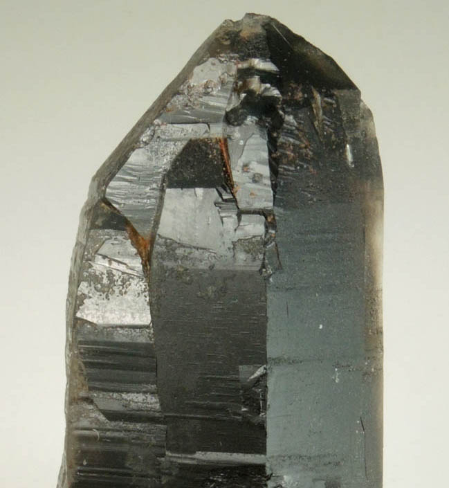 Quartz var. Smoky Quartz (doubly terminated Dauphin Law twins) from Devil's Head, Rampart Range, 25 km southwest of Castle Rock, Douglas County, Colorado