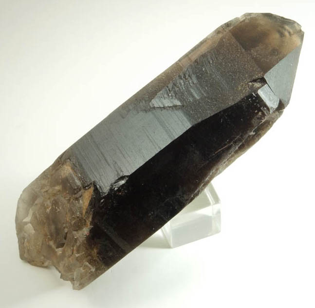 Quartz var. Smoky Quartz (doubly terminated Dauphin Law twins) from Devil's Head, Rampart Range, 25 km southwest of Castle Rock, Douglas County, Colorado