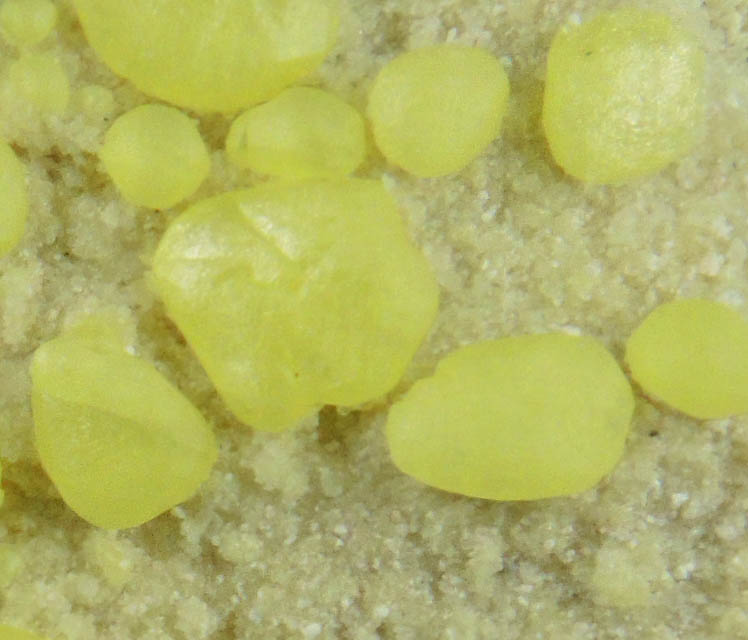 Sulfur from San Felipe, Baja California Norte, Mexico