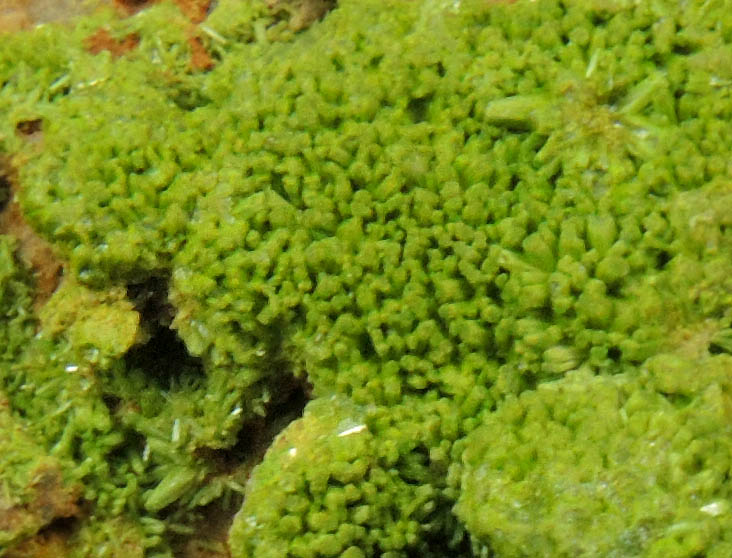 Pyromorphite from Hard Rigg Edge, Ousby, Aglionby Beck, Cumbria, England