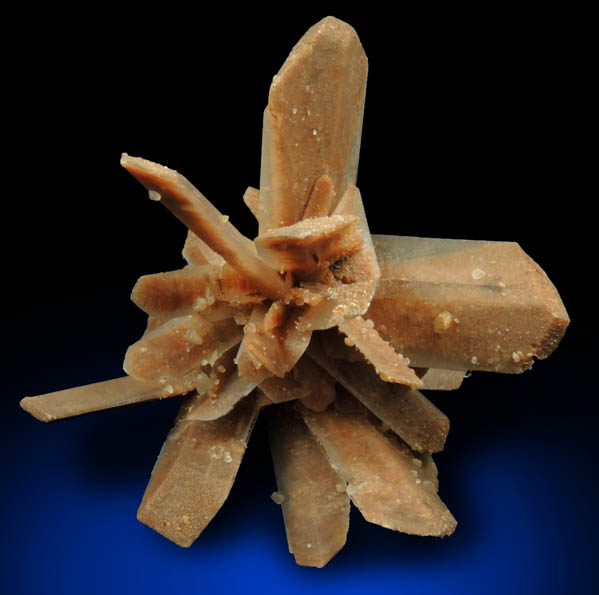 Gypsum var. Selenite from Great Salt Plains, near Jet, Alfalfa County, Oklahoma