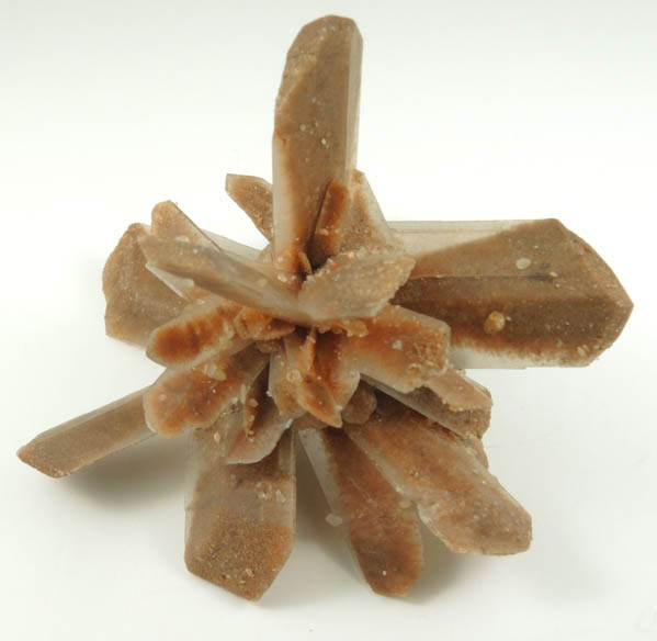 Gypsum var. Selenite from Great Salt Plains, near Jet, Alfalfa County, Oklahoma