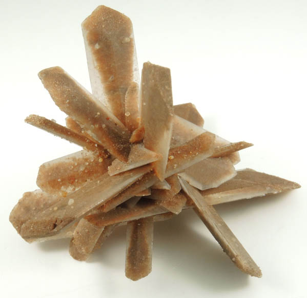 Gypsum var. Selenite from Great Salt Plains, near Jet, Alfalfa County, Oklahoma