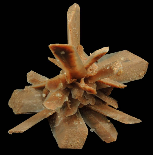 Gypsum var. Selenite from Great Salt Plains, near Jet, Alfalfa County, Oklahoma