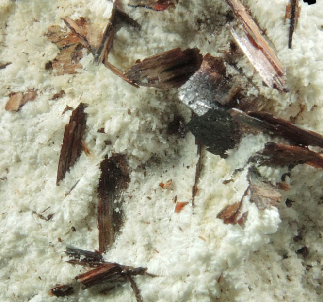 Hbnerite from Adams Mine, Silverton Mining District, San Juan County, Colorado