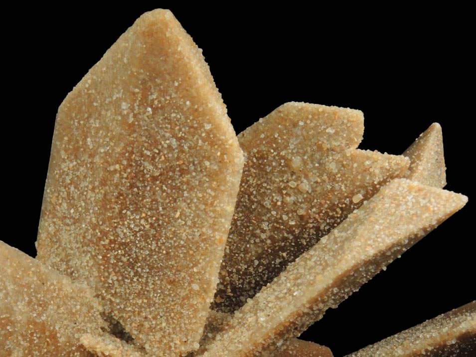 Gypsum from Great Salt Plains, near Jet, Alfalfa County, Oklahoma