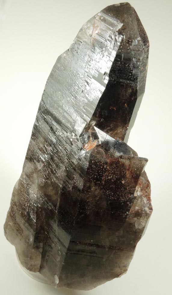 Quartz var. Smoky Quartz (Dauphin Law twinned) from Devil's Head, Rampart Range, 25 km southwest of Castle Rock, Douglas County, Colorado