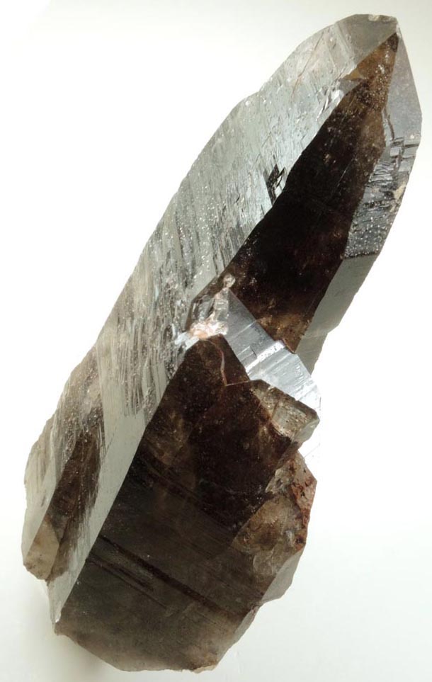 Quartz var. Smoky Quartz (Dauphin Law twinned) from Devil's Head, Rampart Range, 25 km southwest of Castle Rock, Douglas County, Colorado