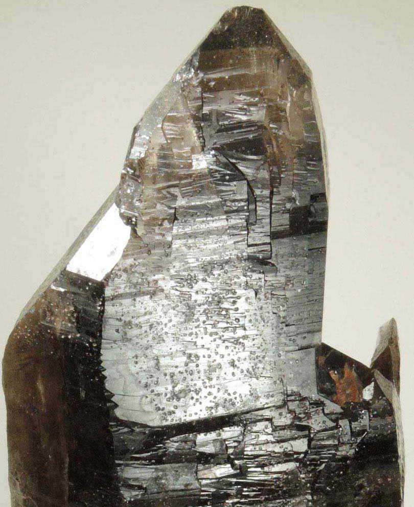 Quartz var. Smoky Quartz (Dauphin Law twinned) from Devil's Head, Rampart Range, 25 km southwest of Castle Rock, Douglas County, Colorado