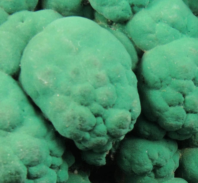 Malachite from Bisbee, Warren District, Cochise County, Arizona