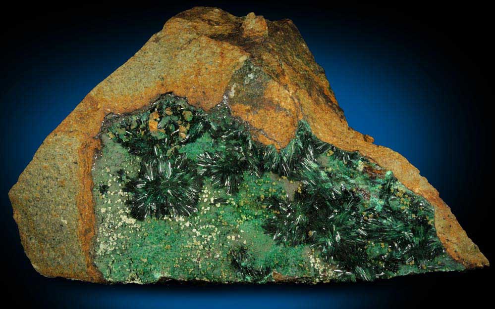 Atacamite, Chrysocolla, Halloysite from Mina la Farola, Copiapo, Atacama Desert, Chile (Type Locality for Atacamite)