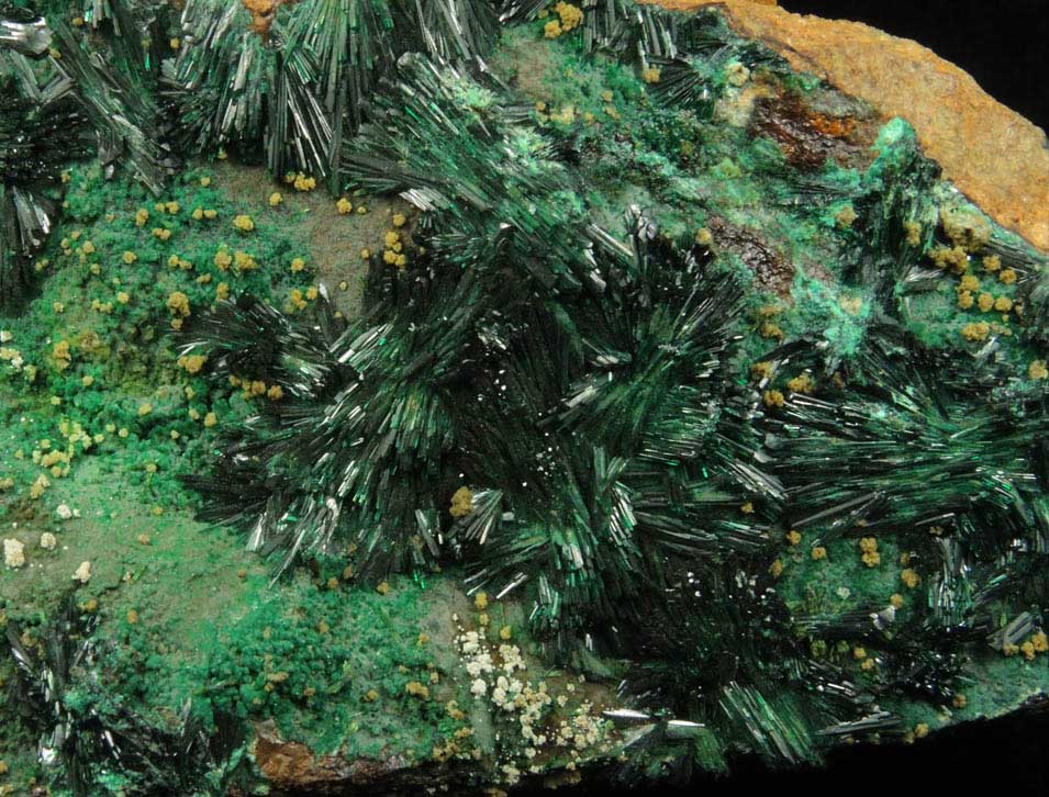 Atacamite, Chrysocolla, Halloysite from Mina la Farola, Copiapo, Atacama Desert, Chile (Type Locality for Atacamite)