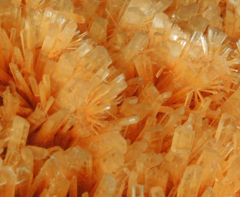 Gypsum var. Selenite from Swan Hill, Victoria, Australia