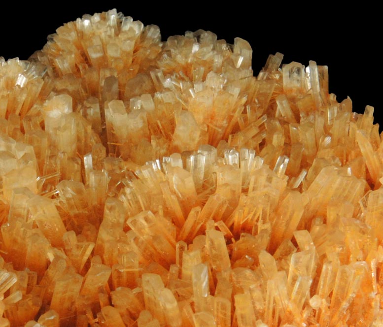 Gypsum var. Selenite from Swan Hill, Victoria, Australia