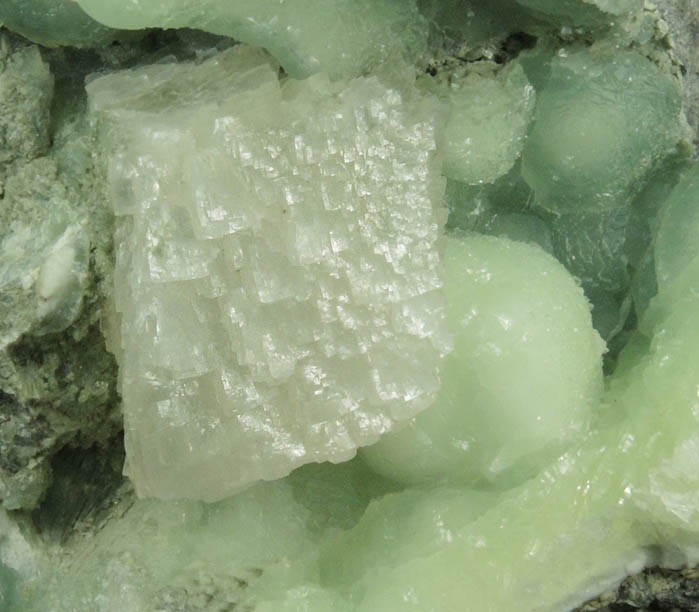 Calcite on Prehnite from O and G Industries Southbury Quarry, Southbury, New Haven County, Connecticut