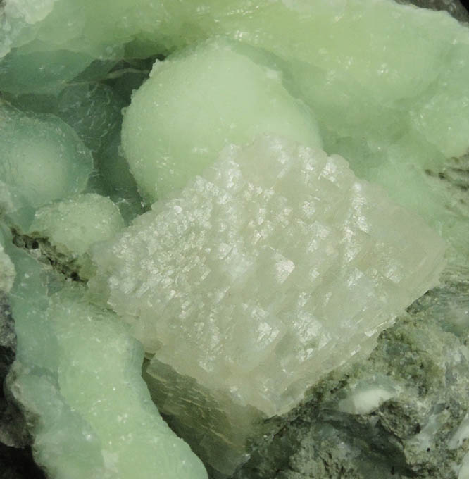 Calcite on Prehnite from O and G Industries Southbury Quarry, Southbury, New Haven County, Connecticut