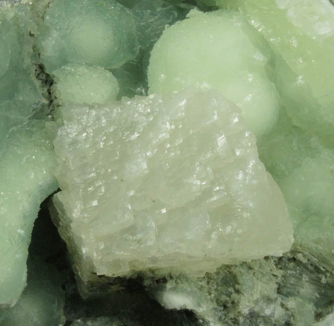 Calcite on Prehnite from O and G Industries Southbury Quarry, Southbury, New Haven County, Connecticut