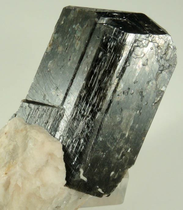 Fluoro-richterite (Fluororichterite) in Calcite from Wilberforce, Ontario, Canada