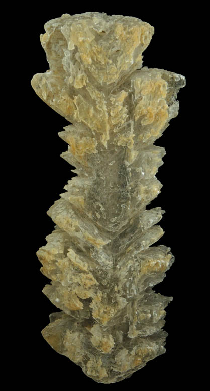 Gypsum var. Fishtail Twins from shore of Potomac River, King George County, Virginia