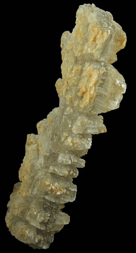 Gypsum var. Fishtail Twins from shore of Potomac River, King George County, Virginia