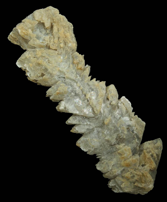 Gypsum var. Fishtail Twins from shore of Potomac River, King George County, Virginia